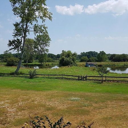 Gite 4Kms Plage Grand Domaine Prive Lacs Natura 2000 Lit-et-Mixe Luaran gambar