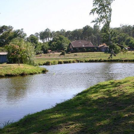 Gite 4Kms Plage Grand Domaine Prive Lacs Natura 2000 Lit-et-Mixe Luaran gambar