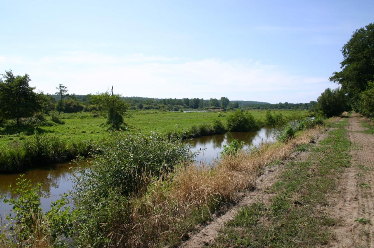 Gite 4Kms Plage Grand Domaine Prive Lacs Natura 2000 Lit-et-Mixe Luaran gambar