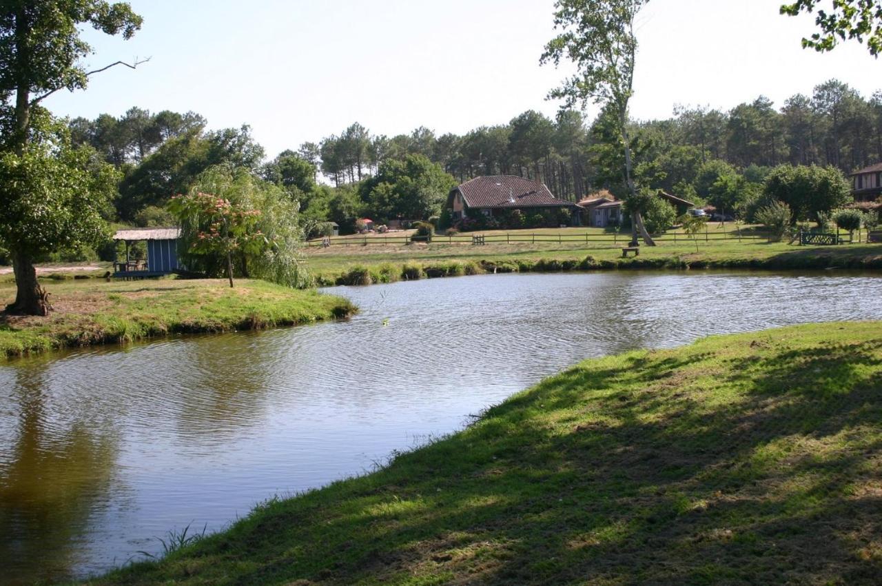 Gite 4Kms Plage Grand Domaine Prive Lacs Natura 2000 Lit-et-Mixe Luaran gambar